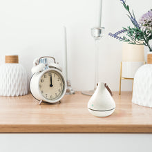 Load image into Gallery viewer, Deodoriser Steriliser Air Purifier | Purify Air &amp; Remove Odors | Rechargeable Lithium Battery |