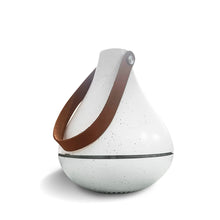 Load image into Gallery viewer, Deodoriser Steriliser Air Purifier | Purify Air &amp; Remove Odors | Rechargeable Lithium Battery |